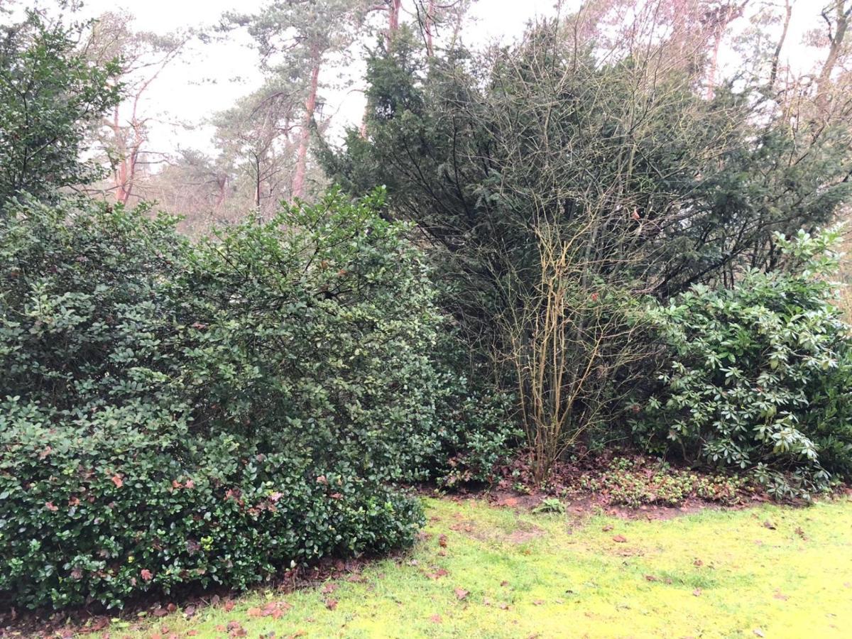 Bungalows Hoefbos Otterlo Luaran gambar